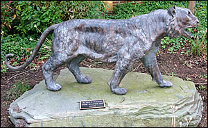 Tiger mascot.